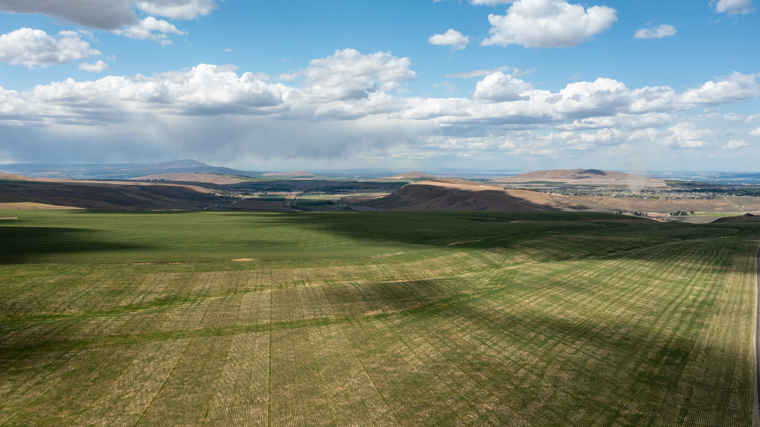 rangeland in Washington