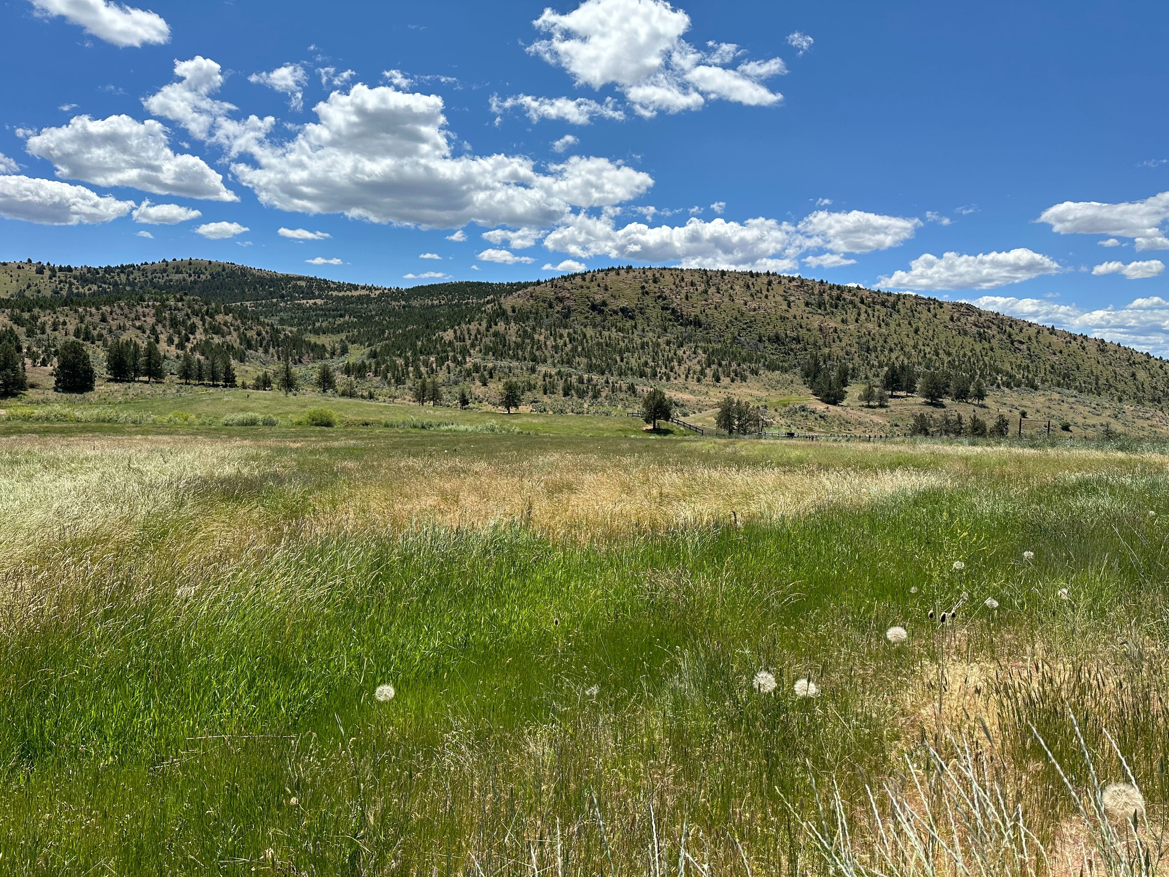 Agoro Carbon pasture in Oregon