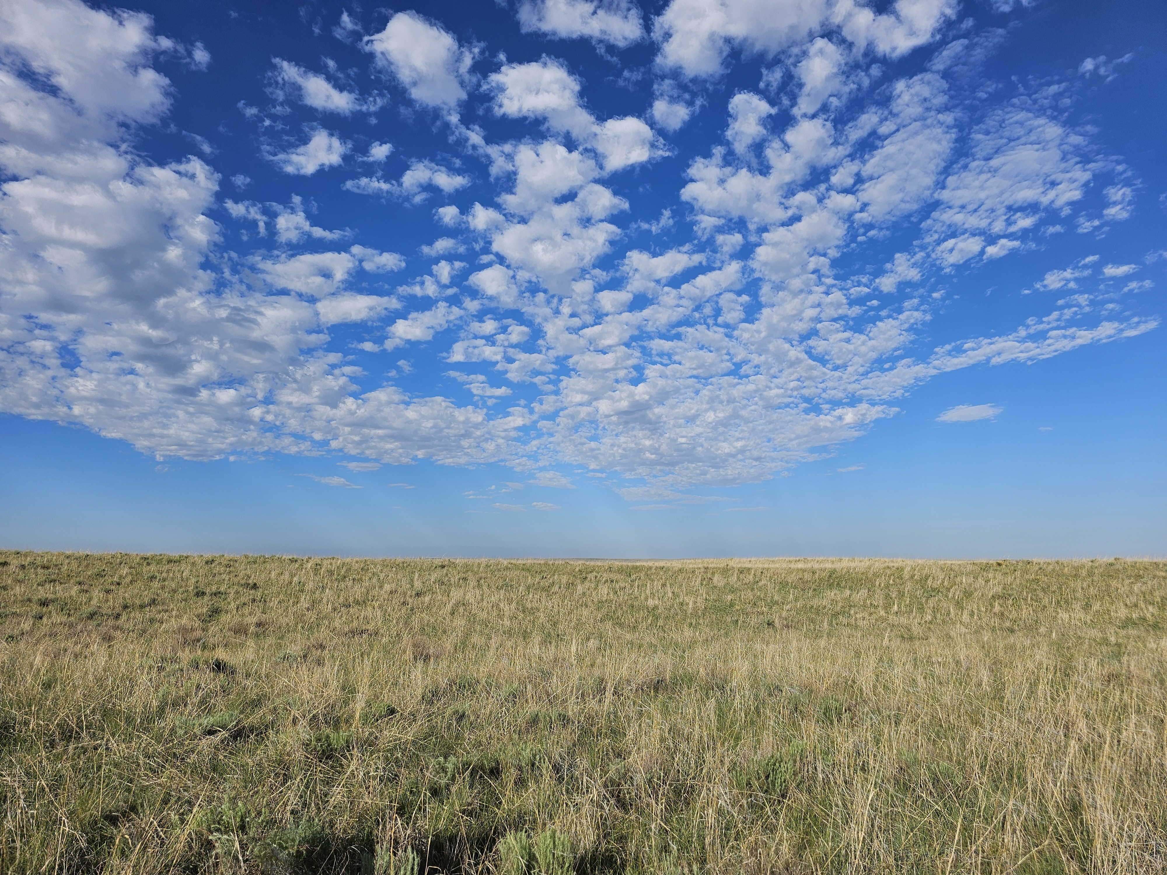 Split photo of ranch and sky on Colorado ranch